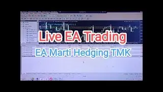 Live EA Trading - EA Marti Hedging TMK  - Real Account Deriv