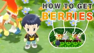 Как собирать и сажать ягоды | Всё, что вам нужно знать ► Pokemon Brilliant Diamond | BDSP