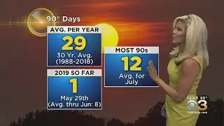 Philadelphia Weather Update: Week Of Summer Heat