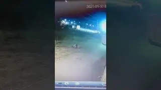 2025 01 30 04:00 примерно, по этому и сторожи и менты так работают, и ещё тонн повышают инвалидам🤔😡😡