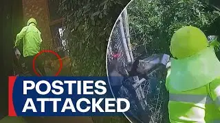 Alarming rise in dog attacks on posties calls for extreme defence measures | 9 News Australia