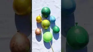 Abduha And💚🔶💙🔶💚Green,Gold,Yellow Balloons #shorsvideo #asmr #poppballons #balloons #shors