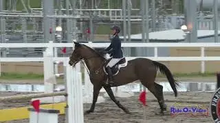 010S Andrea Baxter on Enfinity CCI3*S Show Jumping FCHP February 2019