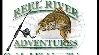 Wacky Worm Swim Minnow
