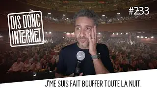 Dard, abeille et spray anti-ours // VERINO - Dis Donc Internet #233