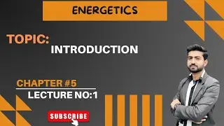 Energetics|Chapter No 5|Introduction|Class 9| New Book Chemistry 