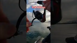 İznik levkit avı - balık avı  #balıkavı #fishing #carpfishing #olta #carp #pikefishing #lrfavı #lrf