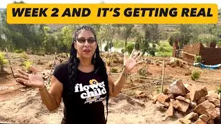 Week 2 progress ! Building my Dream Lake House .