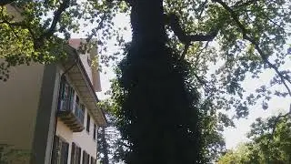 Museum C. G. Jung House