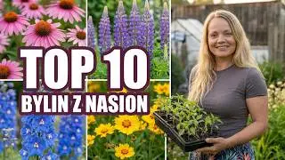 Top 10 bylin łatwych w uprawie z nasion / Świetny trik na kiełkowanie nasion
