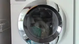 Miele W1 Excellence  - Cottons 50 with Quick and Extra Water (1600 RPM)