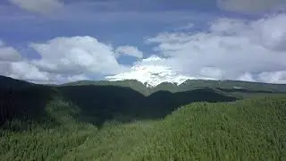FREE STOCK VIDEO FOOTAGE - Snow Mountain and Forest