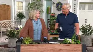 Martha Stewart Garden Weeding Hand Tool on QVC