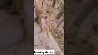 mankey dance 😂😂