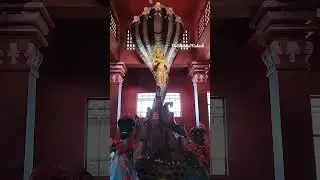 Nag Devi #tample#travel #solo#big #maa#nagdevta  #god#shiva#big#snake  #nagin #DrSharmaMahesh