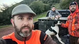 Κυνήγι μπεκατσας όμορφες στιγμές....