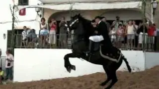 Jaleo - Festival of Sant Bartomeu