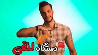 دستگاه لنفی فصل 4 دهم گردش مواد