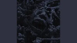 Bonfire of the Insanities