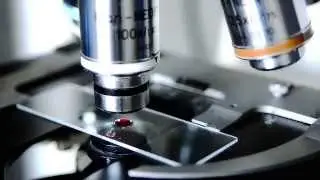 Biosurveillance Ecosystem