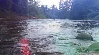 Relaxing Water Flow | River | Nature