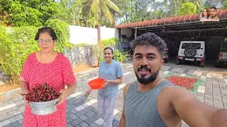 മുളകിലെ മായം കളയാൻ മമ്മിയുടെ പൊടിക്കൈകൾ