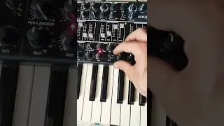 Arturia Minibrute !! #techno #arturia #minibrute