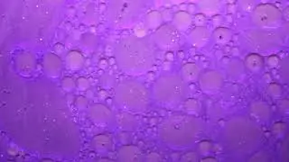 Macro Fluid Dynamics 1877