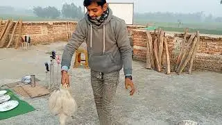 Duck processing and cooking || Nepali duck || Duck curry || Village cooking|| Native duck cooking