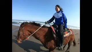 ビーチライディング　サウスヒルステーブル　宮崎　児湯郡　新富町　富田浜　乗馬　外乗　シーサイドトレール　海　馬術　ウェスタン　カウボーイ　2023年3月5日