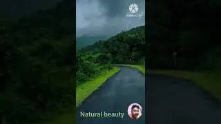 beautiful village road in Andhra Pradesh