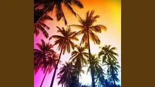 Tropical Synth
