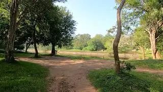 Eth Pokuna (Elephant Pond) &ndash; ඇත් පොකුණ #Srilanka