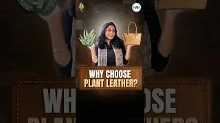 Plant Leather vs Vegan Leather: What&rsquo;s the Real Difference? #shorts