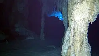 SCUBA Diving the Yucatan's Grand Cenote