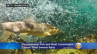 Spring surprise: Pennsylvania opens trout season early