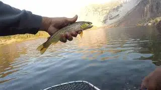 Trying a Rapala at Dusk at Ellery Lake (Off HWY 120, Eastern Sierra)