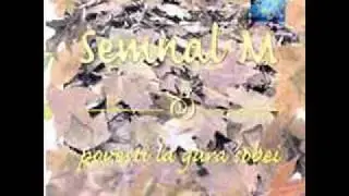 Semnal M - Ecou