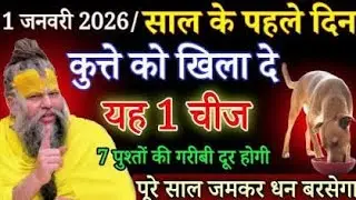 2026 शुरू होने से पहले कुत्ते को खिला दो ये 1 चीज़,7 जन्मों की गरीबी दूर होगी | Premanand Maharaj Ji