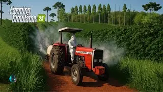 FS 25 | Pulverizando café com o Massey ruim de direção