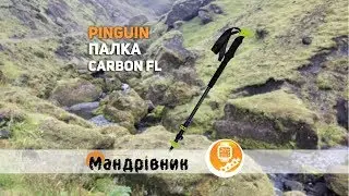 Палка Pinguin Carbon FL Foam