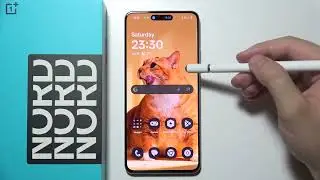 OnePlus Nord CE 5: Why Wallpaper is Black (Dimmed)?