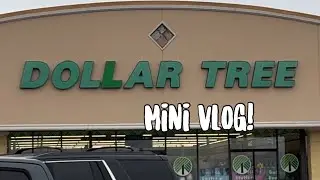 Dollar Tree Shop with Me & Haul, Chicken Express & Kroger Haul!