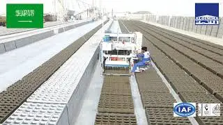 زراعه بلك /بياضه بلك /طباعه بلك ماكينة القمة 913 لإنتاج البلوك ALQIMMA 913 Machines Concrete block