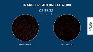 4Life Transfer Factors at Work
