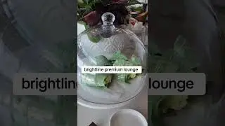 brightline premium lounge | Orlando