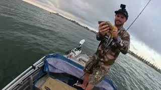 Redcliffe Snapper fishing