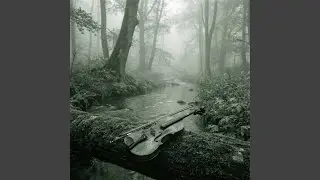 Lost in the Vapors