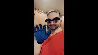 QUICK REVIEW - Pet Grooming Gloves