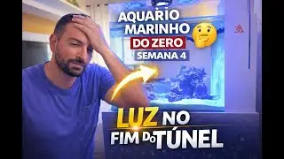 Aquário Marinho do Zero - Semana 4 | A saga da salinidade e uma luz no fim do túnel
